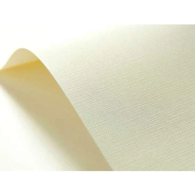 Imagen de Netuno 20 hojas de cartulina marfil, 246 g, textura reticulada, DIN A5, 148 x 210 mm, color crema, Chamois, crudo, para hacer tarjetas visita y documentos