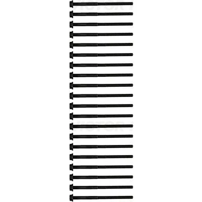Imagen de REINZ 14 10987 01 Juego de Tornillos Culata Polydrive LAND ROVER: Range Rover Sport, Discovery 3, JAGUAR: XJ Berlina