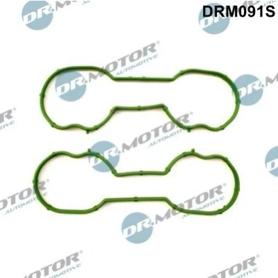 Imagen de DR.MOTOR AUTOMOTIVE DRM091S Juego de juntas, colector admisión FORD: Focus 2, 2 Limousine, Kombi