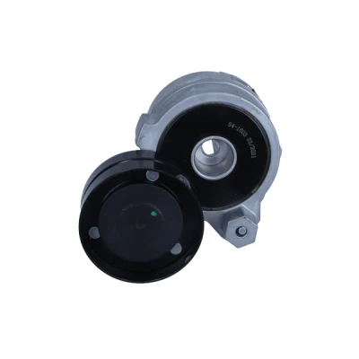 Imagen de MAXGEAR 54 1603 Brazo tensor, correa trapecial poli V AUDI: A8 D3, VOLKSWAGEN: Touareg I