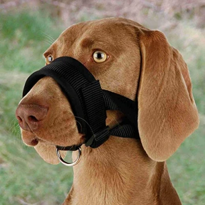 Imagen de TRIXIE Bozal Ajustable para Perros