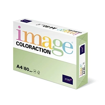 Imagen de Papel para Imprimir Image ColorAction Jungle Verde Pastel 500 Hojas Din A4 (5 Unidades)