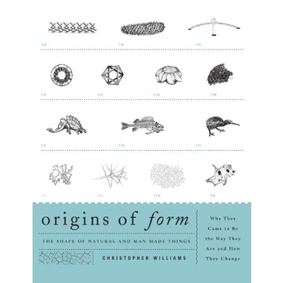 Imagen de Origins of form