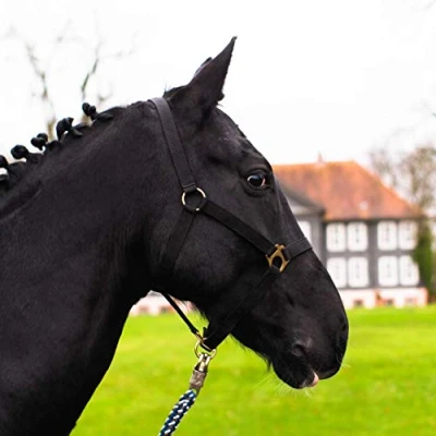 Imagen de Cabestro para Caballo de Sangre Caliente, Completa, fría establo Pasto (Negro, Pony)