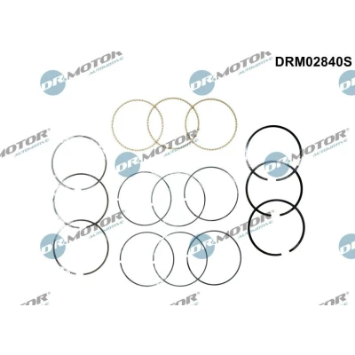 Imagen de Juego de segmentos del pistón Dr.Motor Automotive DRM02840S