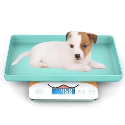 Imagen de MINDPET MED Mini báscula Digital para Mascotas recién Nacidos y Animales pequeños, de Gramos precisión pesaje, ±0.03 oz, Capacidad 33 lbs