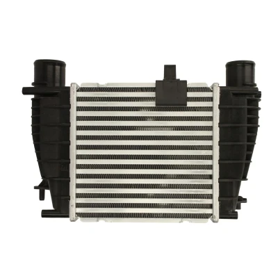 Imagen de THERMOTEC DA1008TT Intercooler NISSAN: NV200 Furgón / Familiar, Evalia Bus, Note I, RENAULT: CLIO 3 Kasten,