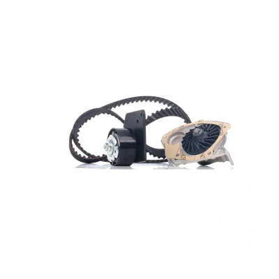 Imagen de BOSCH 1 987 946 485 Bomba de Agua + Kit Distribucion 133 RENAULT: MEGANE 3, 3 Coupe, SCENIC SUZUKI: Grand Vitara 2 SUV