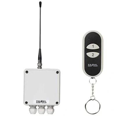 Imagen de Etero RWS 211D/N Interruptor de radiofrecuencias bipolar con emisor, 2 canales, 1 unidad