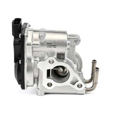Imagen de Válvula EGR DELPHI EG10610 12B1