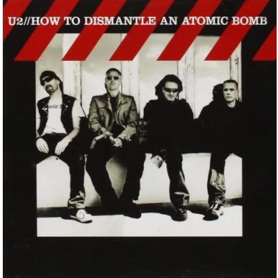 Imagen de How To Dismantle An Atomic Bomb