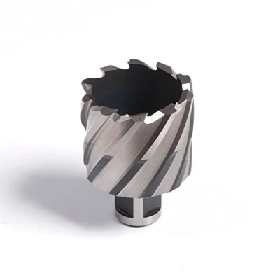 Imagen de Evolution Cortadora anular de 49 x 25 mm (49S) Evolution: corta más rápido y dura tiempo. Compatible con prácticamente todos los taladros magnéticos