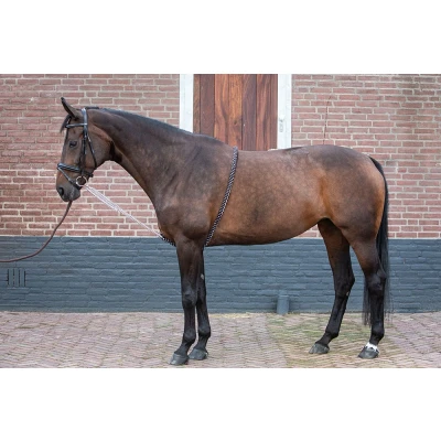 Imagen de Harry&#039;s Horse Lunging Aid Soft L Negro / Blanco