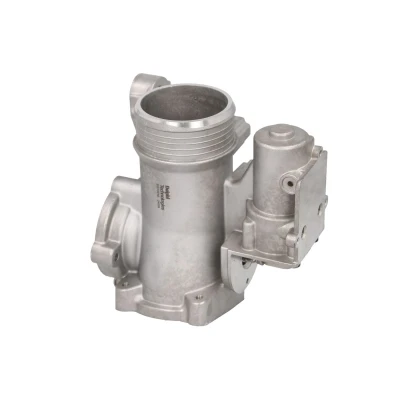 Imagen de Válvula EGR DELPHI EG10616