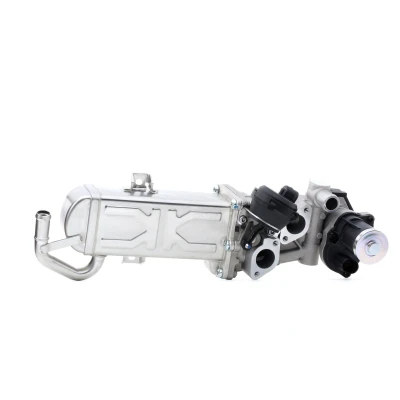 Imagen de PIERBURG 7.09720.00.0 Válvula EGR eléctrico con junta VOLKSWAGEN: GOLF 6, Caddy 3, Tiguan I, SEAT: Leon II Hatchback, SKODA: Octavia 2 Combi norauto,