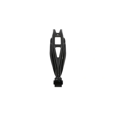 Imagen de KAVO PARTS SCA 10075 Barra oscilante, suspensión de ruedas Brazo oscilante longitudinal SUBARU: Forester III, Impreza II Berlina, IV Berlina