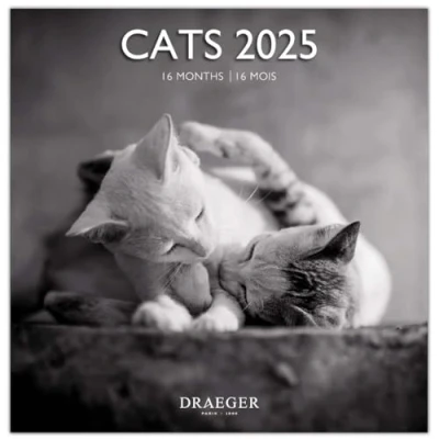 Imagen de Grand Calendario de pared 29 x cm 2025 Septiembre 2024 a diciembre Gatos blanco y negro