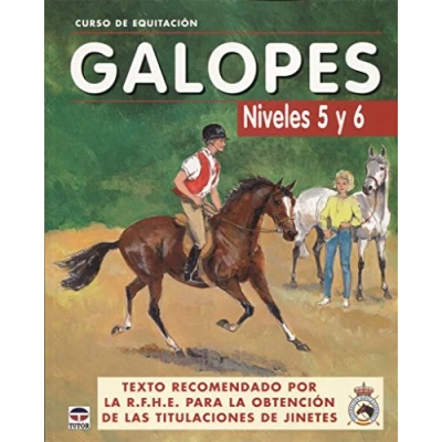 Imagen de CURSO DE EQUITACIÓN. GALOPES NIVELES 5 Y 6