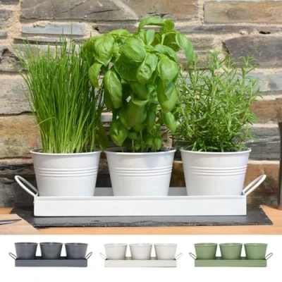 Imagen de Maceta para hierbas plantas de interior, bandeja Lote 3 crecer frescas en casa Jardineras alféizar la ventana, cocina albahaca menta y perejil, flores con goteo Meta