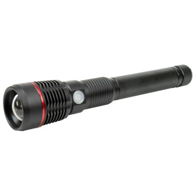 Imagen de PNI ADVF450 Linternas