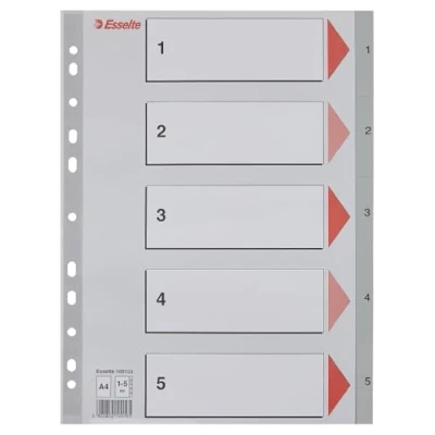 Imagen de Esselte Leitz 100103 Separador para archivadores, plateado A4