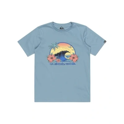 Imagen de Quiksilver Riding Today Camiseta para Chicos 8 16