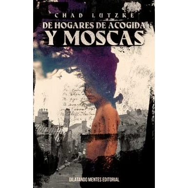 Imagen de de hogares acogida y moscas
