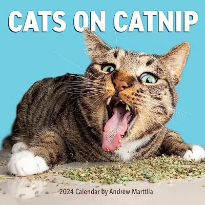 Imagen de Cats on Catnip Wall Calendar 2024: A Year of Living the High Life and Feeling Niiiiice
