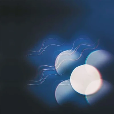 Imagen de Thunder Follows The Light [Vinilo]