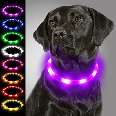 Imagen de Joytale Collar Luminoso Perro, para Mascotas LED Ajustables con Luz, Collares Recargable USB Perros Pequeños, Medianos y Grandes, Morado