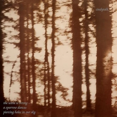 Imagen de The Wind Is Strong [Vinilo]