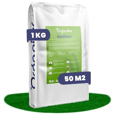 Imagen de Organifer Semillas Para La Reparación Del Césped Cuidado De Raygrass Alta Resiliencia Rejuvenecimiento Césped, (1 Kg = 50 M2)