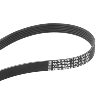 Imagen de CONTITECH 6PK1120 Correa trapecial poli V 1120 6 SEAT: Leon I Hatchback, Toledo 2 Limousine, Ibiza 2, VOLKSWAGEN: Golf 4, AUDI: A3 Hatchback norauto,