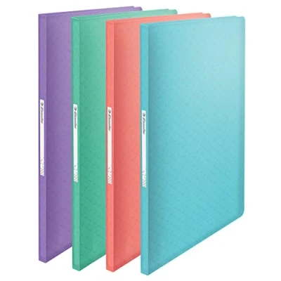 Imagen de Esselte Cuaderno A4 con 40 Fundas de Plástico, Capacidad para 80 Hojas, Presentación y Almacenamiento Documentos, Casa/Oficina, Patrón en Relieve, Gama Colour&#039;Breeze, Color Variado, 626229