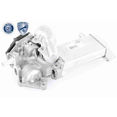 Imagen de VEMO V10 63 0049 Válvula EGR EXPERT KITS + eléctrico con junta, radiator bypass de depresión VOLKSWAGEN: Amarok Pick up