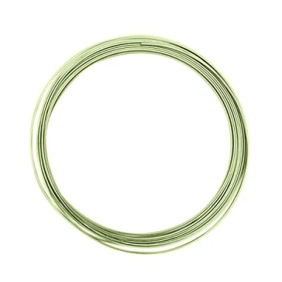 Imagen de Vaessen Creative Alu Deco Alambre Plano para Manualidades, Verde (Apple Green), 3.5 x 1 mm (5 m)