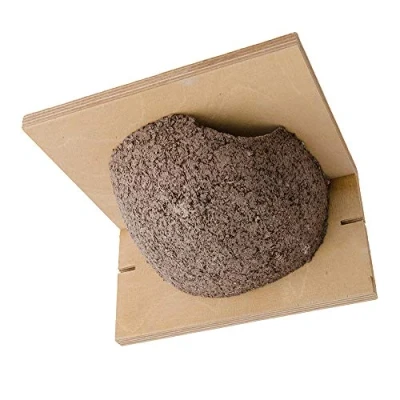 Imagen de C J Wildbird Foods Limited Nido artificial para golondrinas (Talla Única) (Beige)