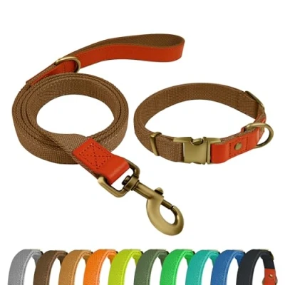 Imagen de Qianruida Juego de Collar y Correa para perros ajustable perro pequeños, medianos grandes, marrón, L