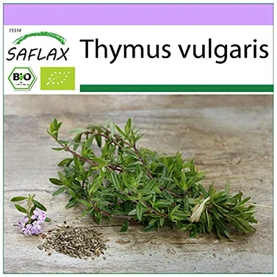 Imagen de SAFLAX Ecológico Tomillo 800 semillas Thymus vulgaris