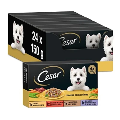 Imagen de Cesar Comida Húmeda para Perros, Selección Recetas Campesinas en Salsa, Multipack (Pack de 6 x 4 tarrinas 150g)
