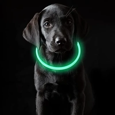 Imagen de Coolzon Collar Luminoso Perro Recargable, Luz Impermeable con 3 Modos de Luz, Longitud Ajustable Collares LED para Perros Gatos Pequeño Mediano Grande, Verde