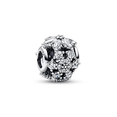 Imagen de Pandora Timeless Mujeres Charm Plata 792383C01
