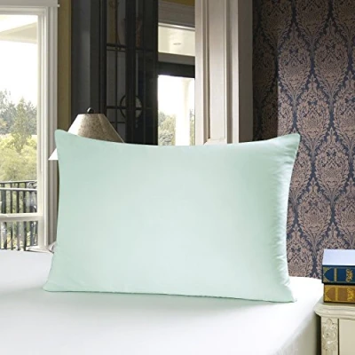 Imagen de TOWNSSILK Funda de Almohada 100% Seda Morera, cuida el Cabello y la Piel, Ambos Lados 19 Momme, 1 Unidad,Lightgreen， 50 x 75 cm