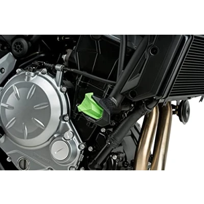 Imagen de Puig Recambios Protector de Motor R19
