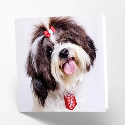 Imagen de Maturi Tarjeta de felicitación en blanco con imagen perro Shih Tzu