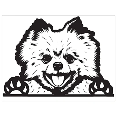 Imagen de Biomar Labs® 1 x Pegatina Vinilo Autoadhesivo Calcomanias de la Ventana para Coche Car Moto Puerta Casco Scooter Bici Motocicleta Tuning Dog Perro Pomerania B 98