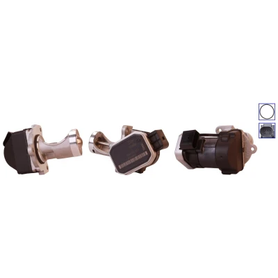 Imagen de ELSTOCK 73 0076 Válvula EGR eléctrico con juntas SEAT: Alhambra I, VOLKSWAGEN: Sharan I