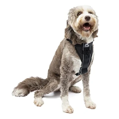 Imagen de Kurgo Tru Fit, Arnés de Paseo para Perros, A Prueba Choques, Incluye Correa Cinturón Seguridad, Negro, L