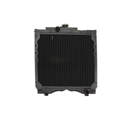 Imagen de THERMOTEC D7AG016TT Radiador, refrigeración del motor 460 540 78