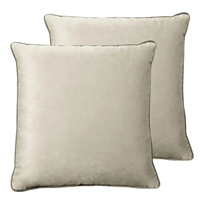 Imagen de Paoletti Meridian Twin Pack Cojines llenos de Plumas, Poliéster, Paloma/Carbón, 55 x 55cm, 2
